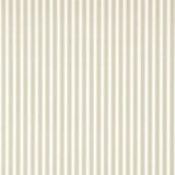 New Tiger Stripe - DCAVTP107