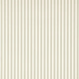 New Tiger Stripe - DCAVTP107