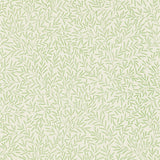 Lily Leaf - DMOWLI103