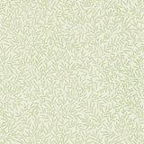 Lily Leaf - DMOWLI103