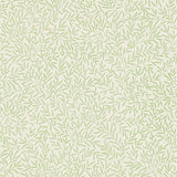 Lily Leaf - DMOWLI103