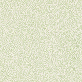 Lily Leaf - DMOWLI103