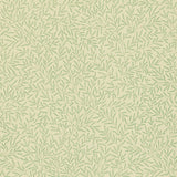 Lily Leaf - DMOWLI107