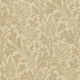 Thistle - DMOWTH104