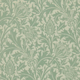 Thistle - DMOWTH105