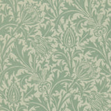 Thistle - DMOWTH105