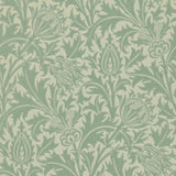 Thistle - DMOWTH105