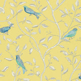 Finches - DOPWFI101