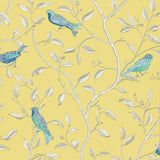 Finches - DOPWFI101