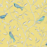 Finches - DOPWFI101