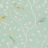 Finches - DOPWFI103