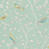 Finches - DOPWFI103