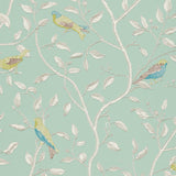 Finches - DOPWFI103