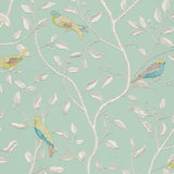 Finches - DOPWFI103