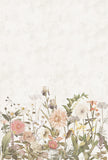 DAHLIA a