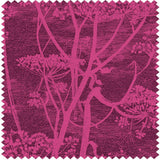 F111/5017 - Cow Parsley Velvet