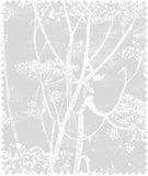 F111/5021 - Cow Parsley Linen