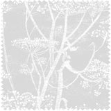 F111/5021 - Cow Parsley Linen