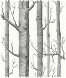F111/7026LU - Woods Linen Union