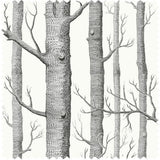 F111/7026LU - Woods Linen Union