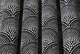 F111/8031 - Feather Fan Jacquard