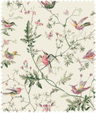 F62/1001 - Hummingbirds Cotton