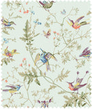 F62/1004 - Hummingbirds Cotton