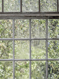 GREENHOUSE