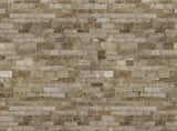 LIMESTONE BRICK