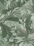 PALM LEAF c