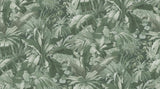 PALM LEAF c