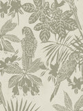 PARROT b