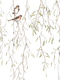 SPRING BIRDS