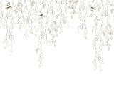SPRING BIRDS
