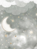 STARS IN THE SKY