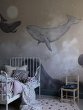 WHALES IN THE SKY b