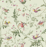 100/14070 - Hummingbirds Archive Anthology