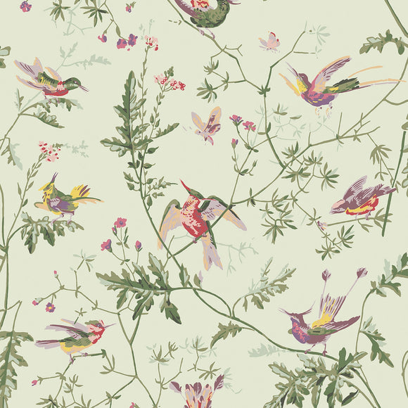 100/14070 - Hummingbirds Archive Anthology