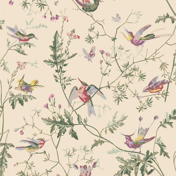 100/14071 - Hummingbirds Archive Anthology