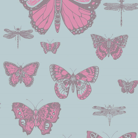 103/15062 - Butterflies & Dragonflies