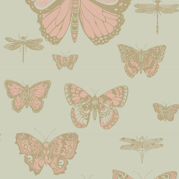103/15063 - Butterflies & Dragonflies