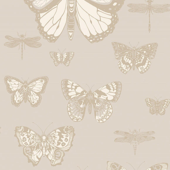 103/15064 - Butterflies & Dragonflies