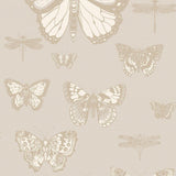 103/15064 - Butterflies & Dragonflies