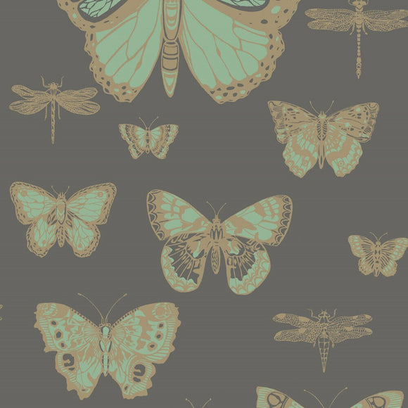 103/15067 - Butterflies & Dragonflies