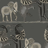 109/8039 - Safari Dance