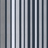110/9043 - Carousel Stripe 1