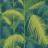 112/1002 - Palm Jungle