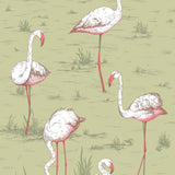 112/11038 - Flamingos