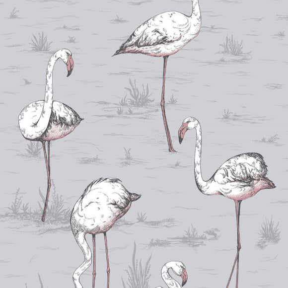 112/11040 - Flamingos