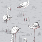 112/11040 - Flamingos